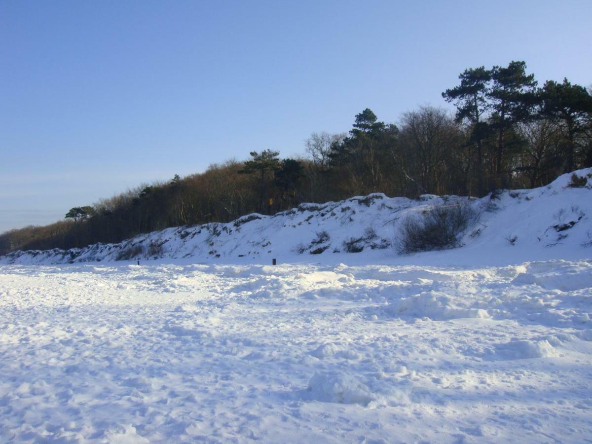 Apartament Sloneczny Wylotowa コウォブジェク エクステリア 写真