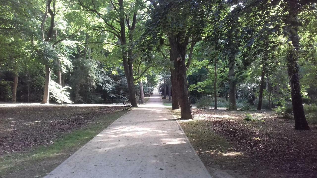 Apartament Sloneczny Wylotowa コウォブジェク エクステリア 写真